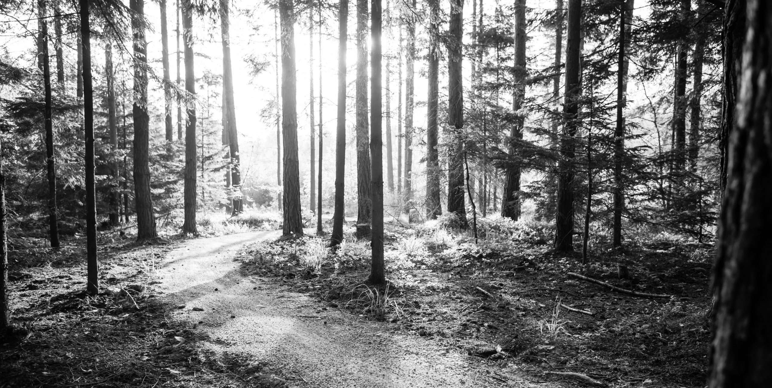 Finds Energy in Movement and the Outdoors