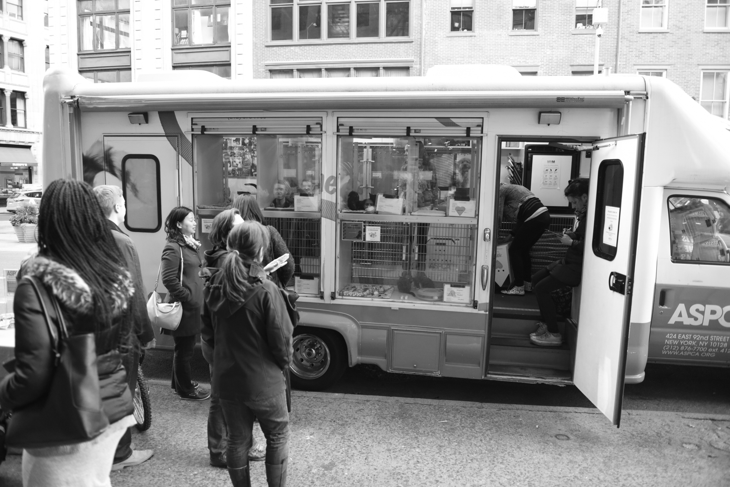 Champion for Rescue Animals