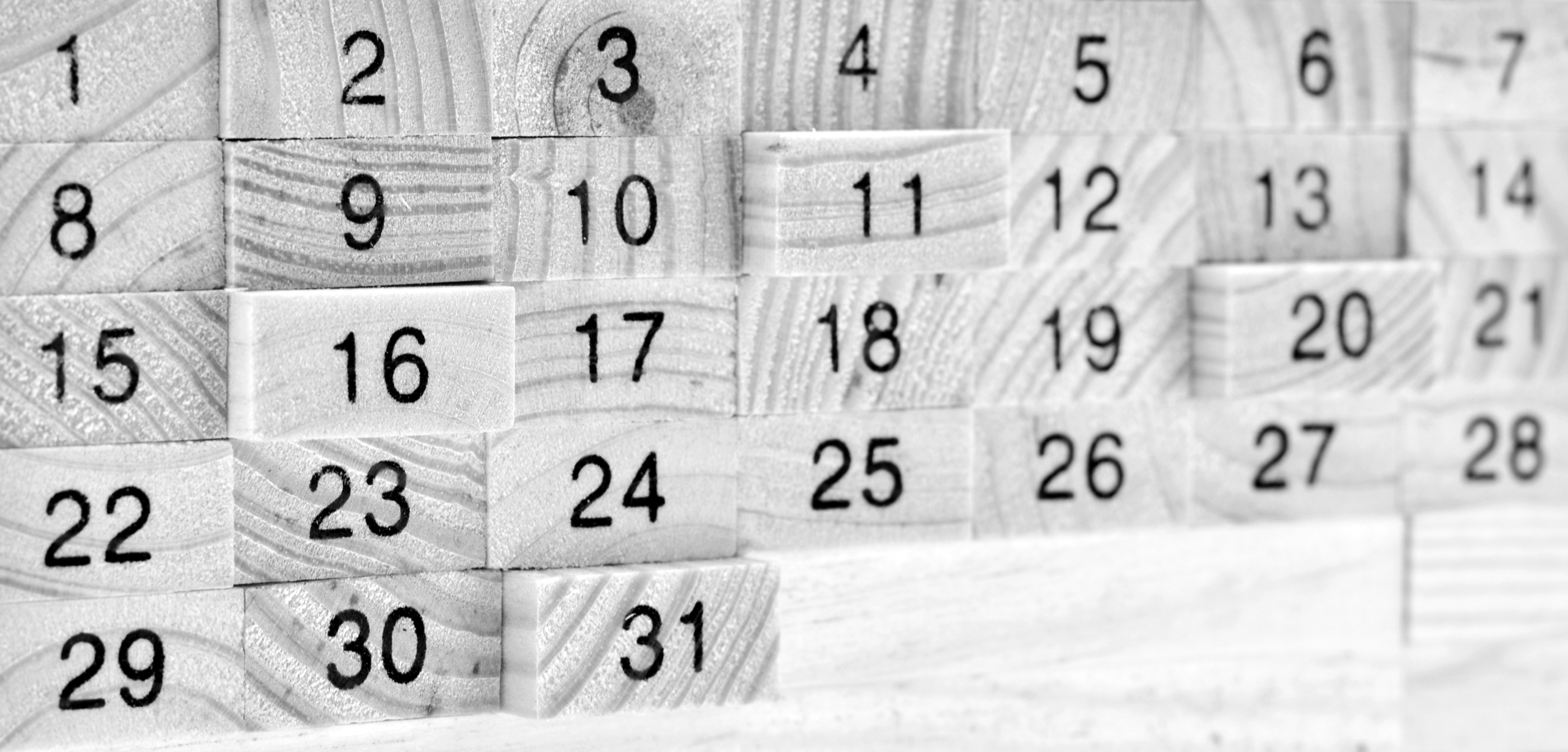 Energized by a Full Calendar and a Fast Pace