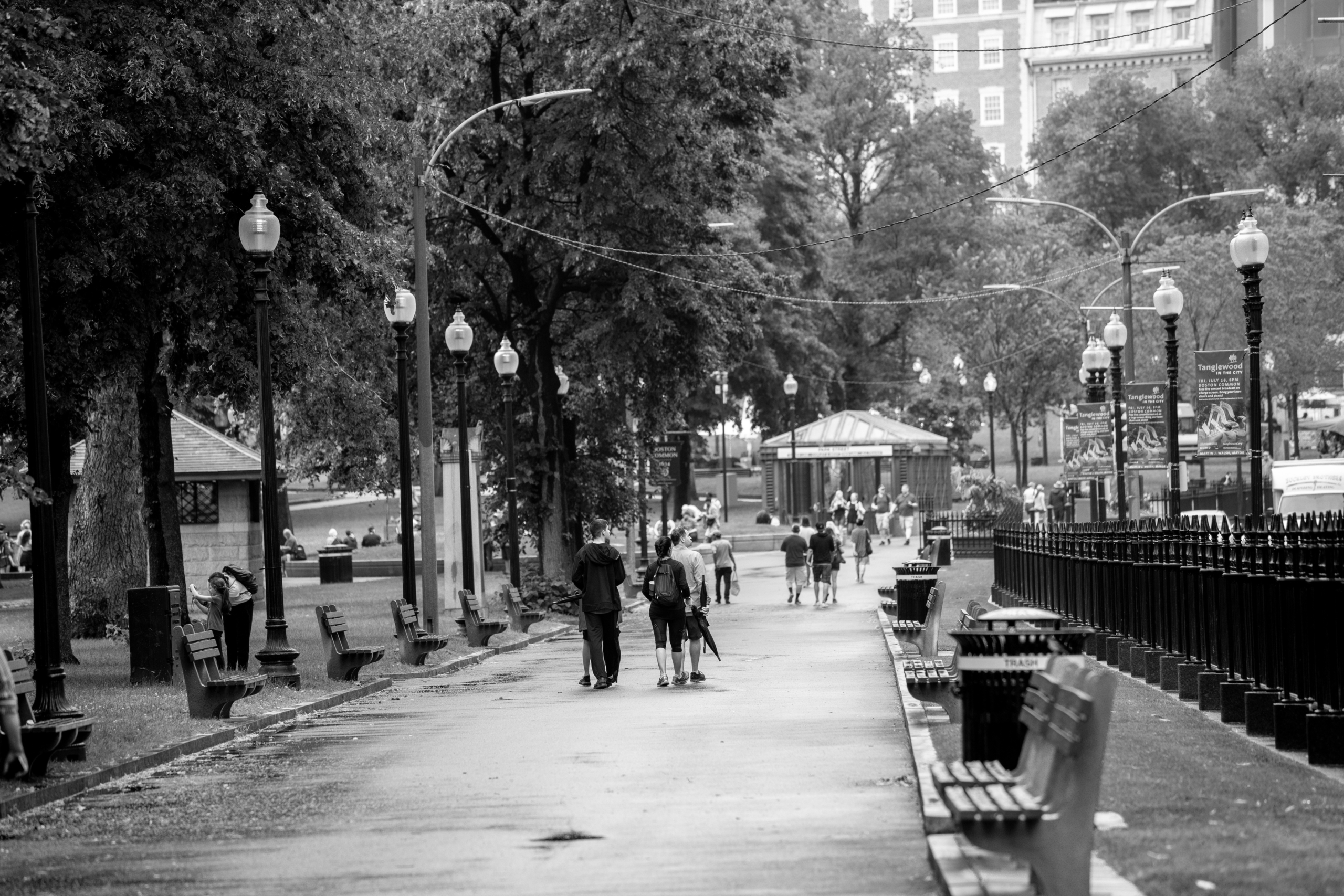 City Strolls with a Local Lens