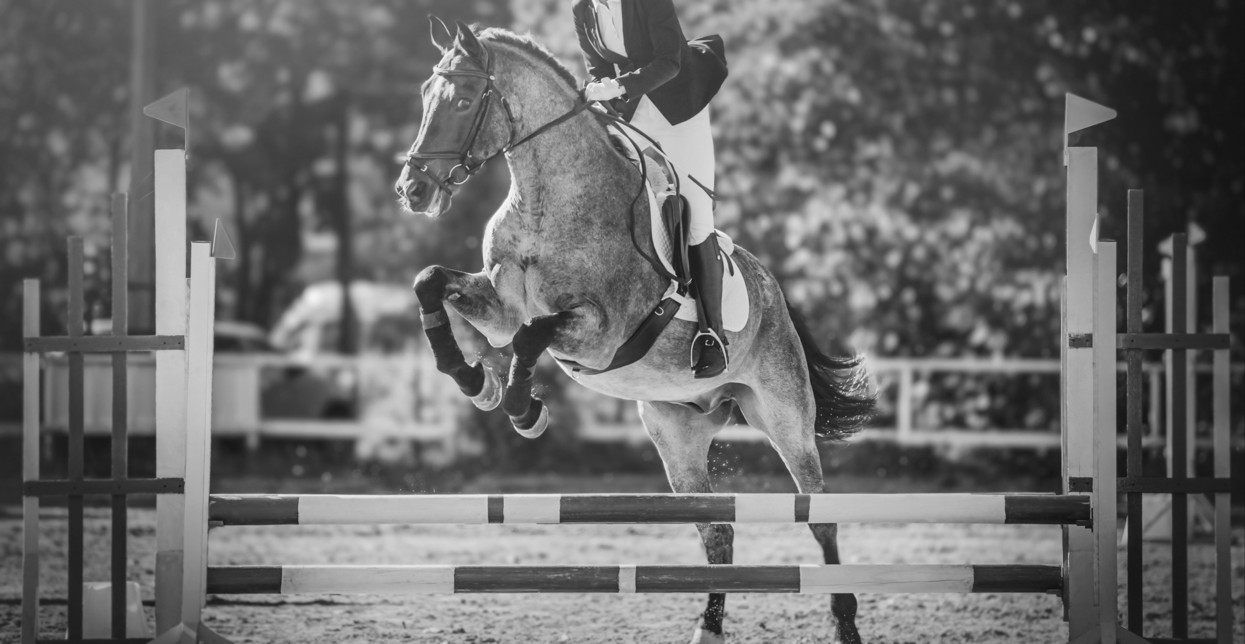 Driven by Discipline—In and Out of the Arena 