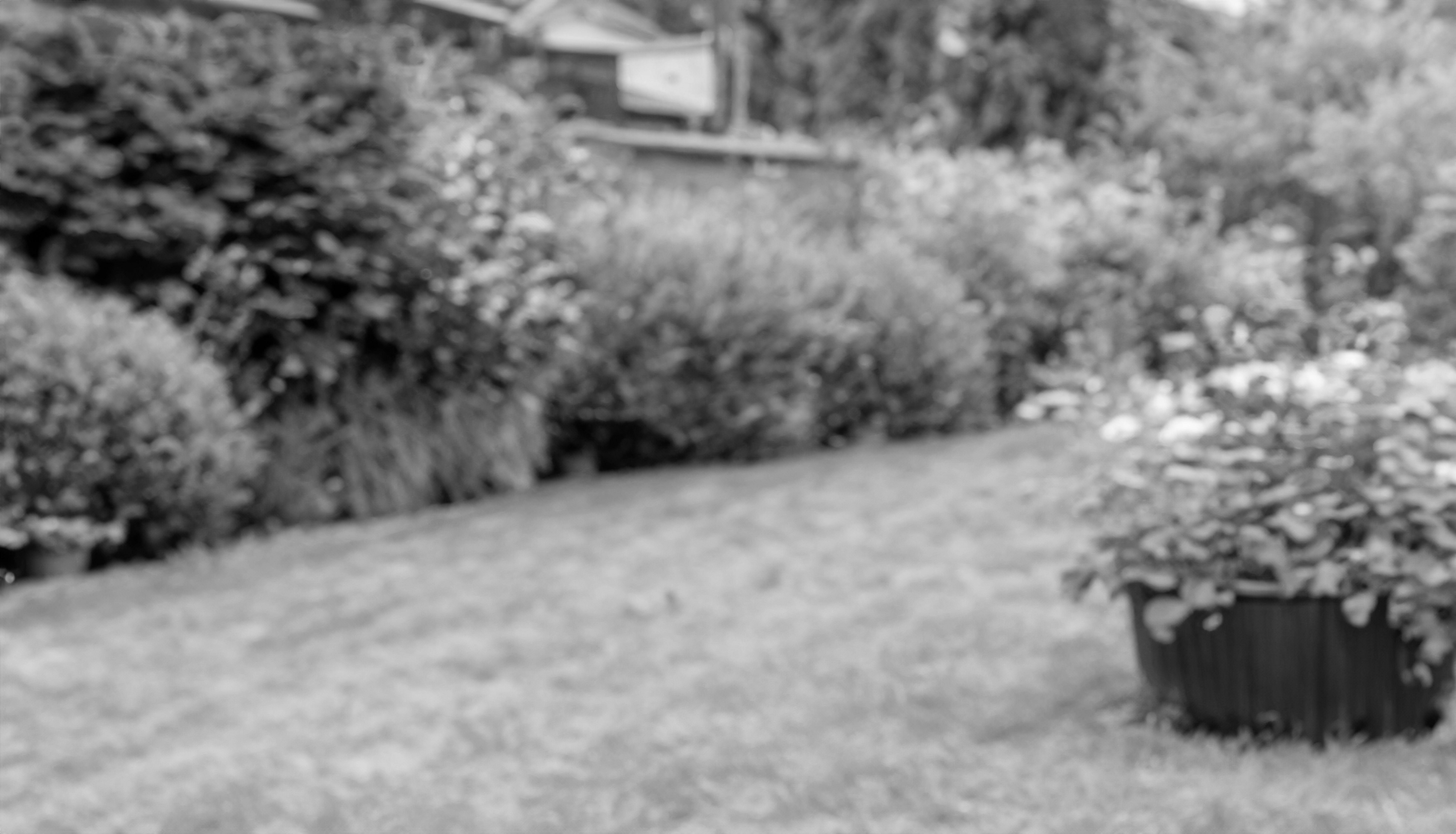 A Passion for Gardening and Growth