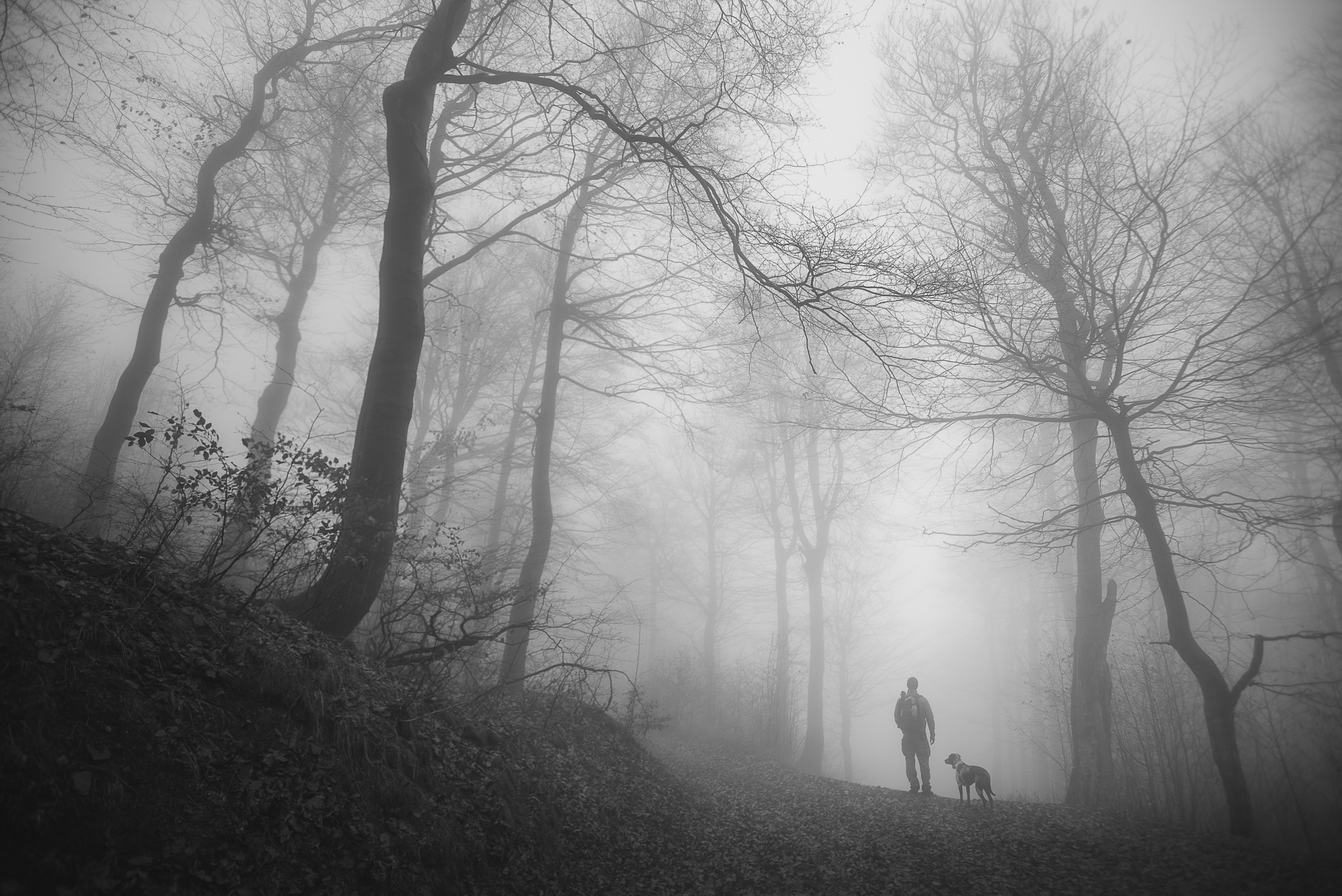 Trail Time with His Dog
