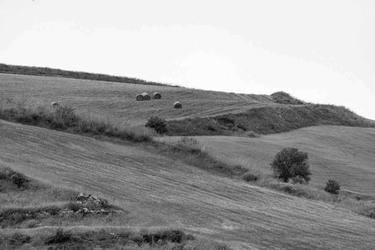 Exploring the World One New Country at a Time