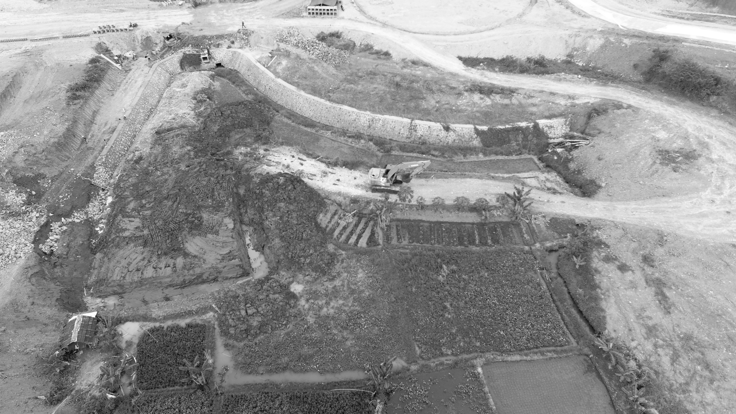 A Curiosity for Infectious Disease