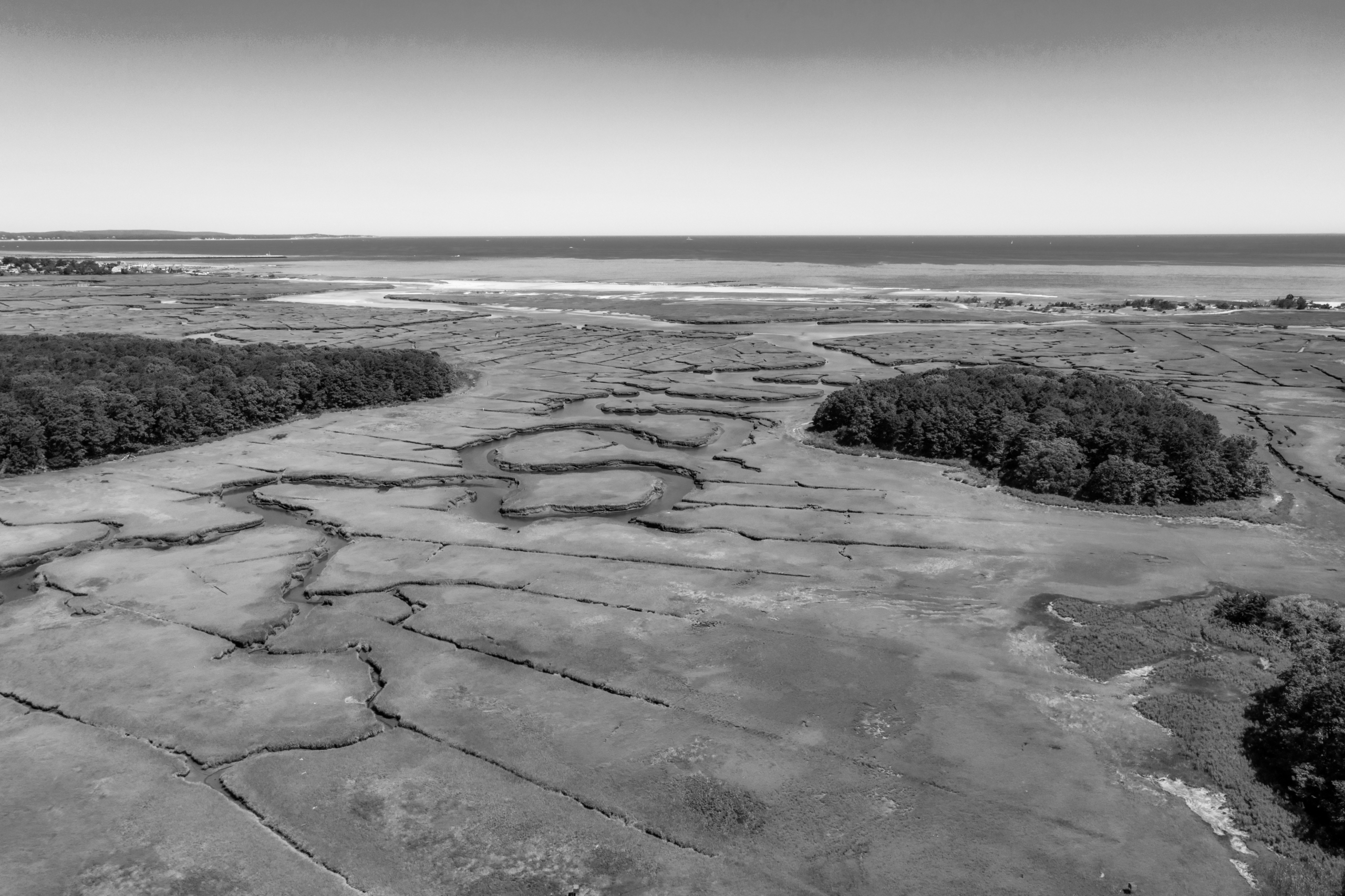 Rooted in the Cape's Natural Beauty