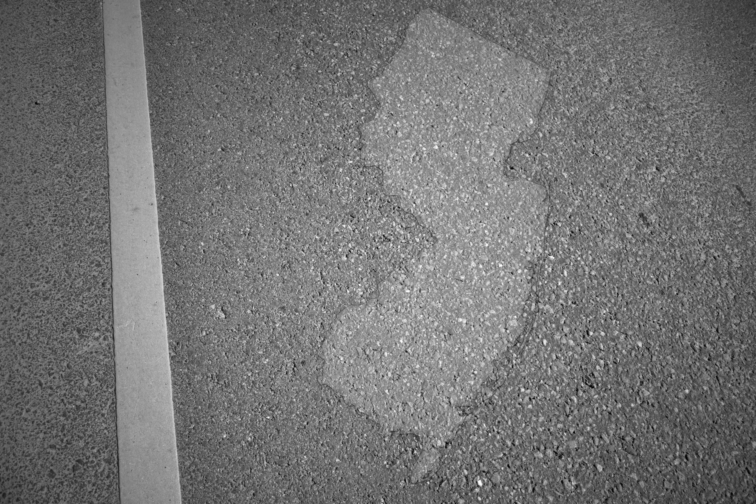 Maintaining Strong Family Roots Across State Lines