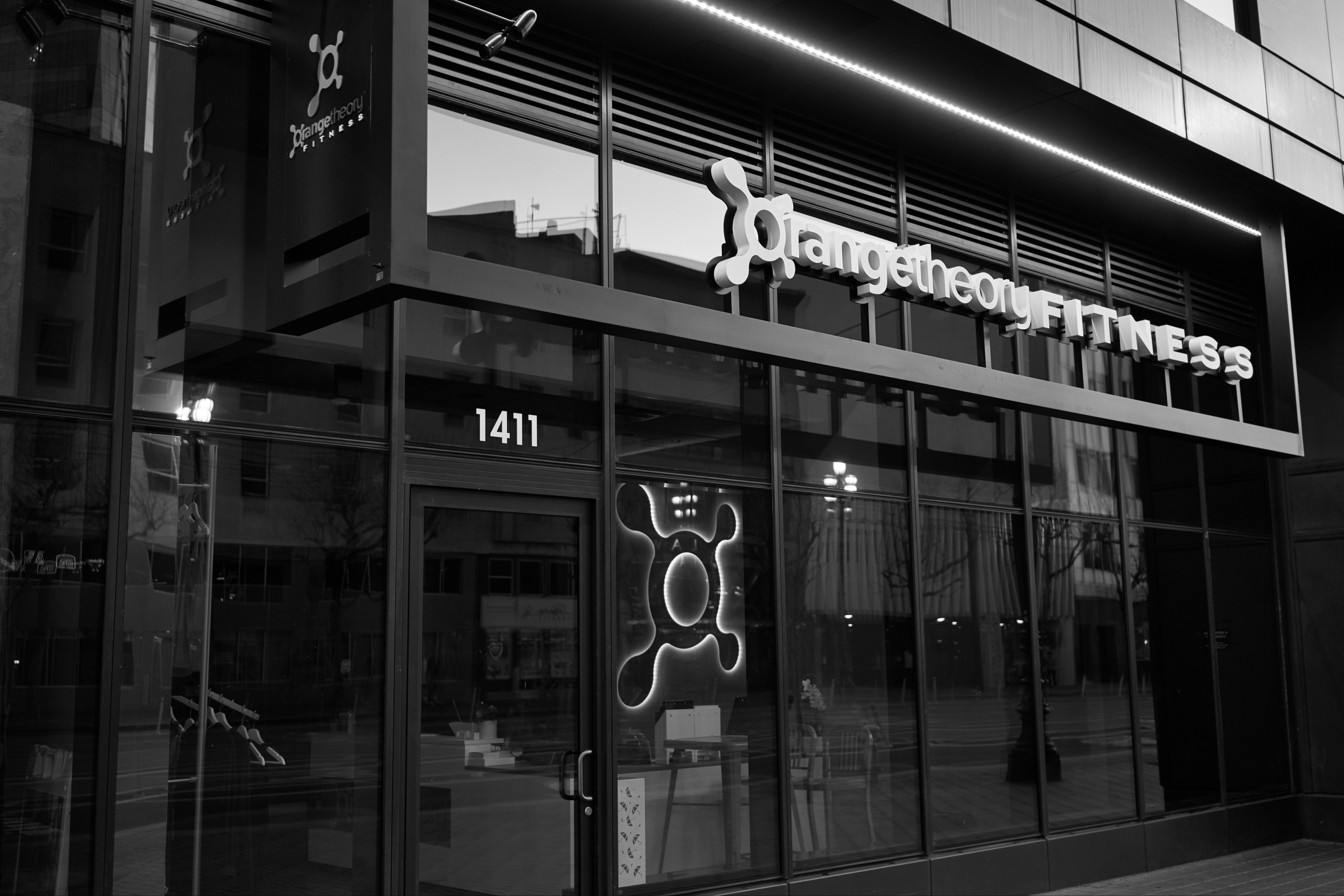 Wellness Through Movement