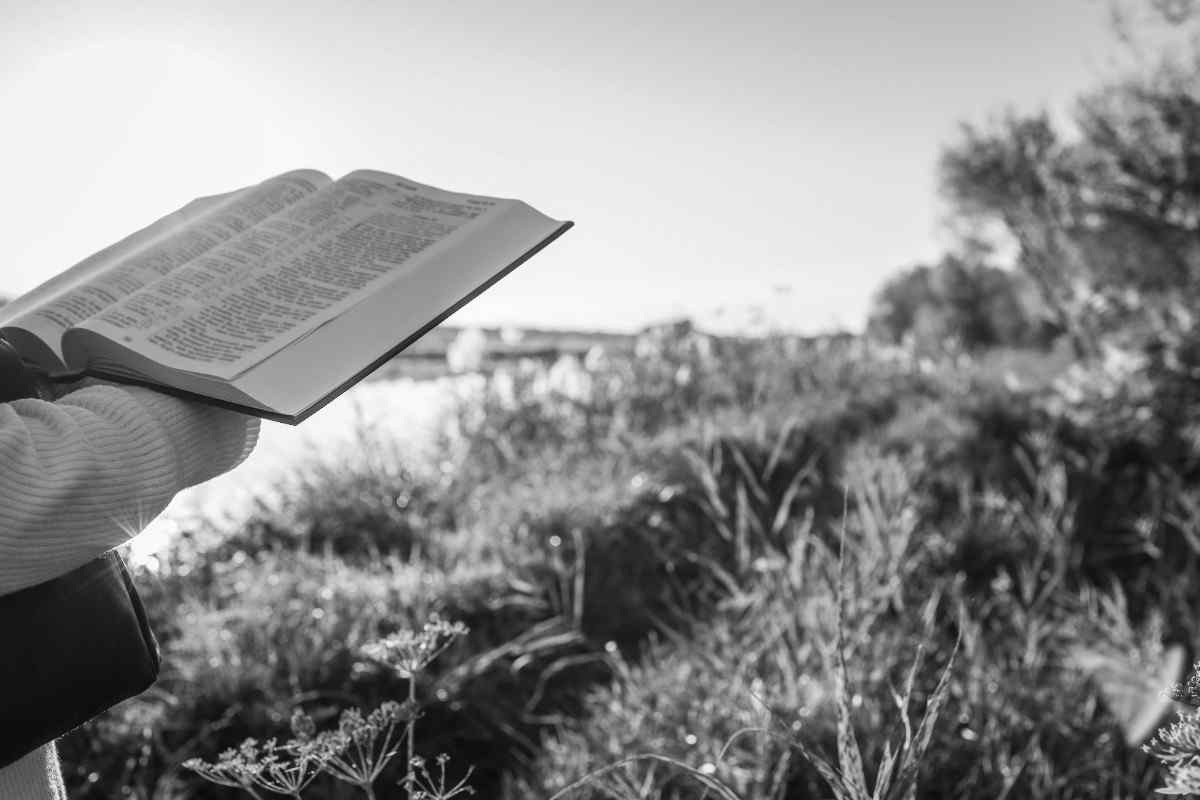 A Lifelong Love of the Written Word