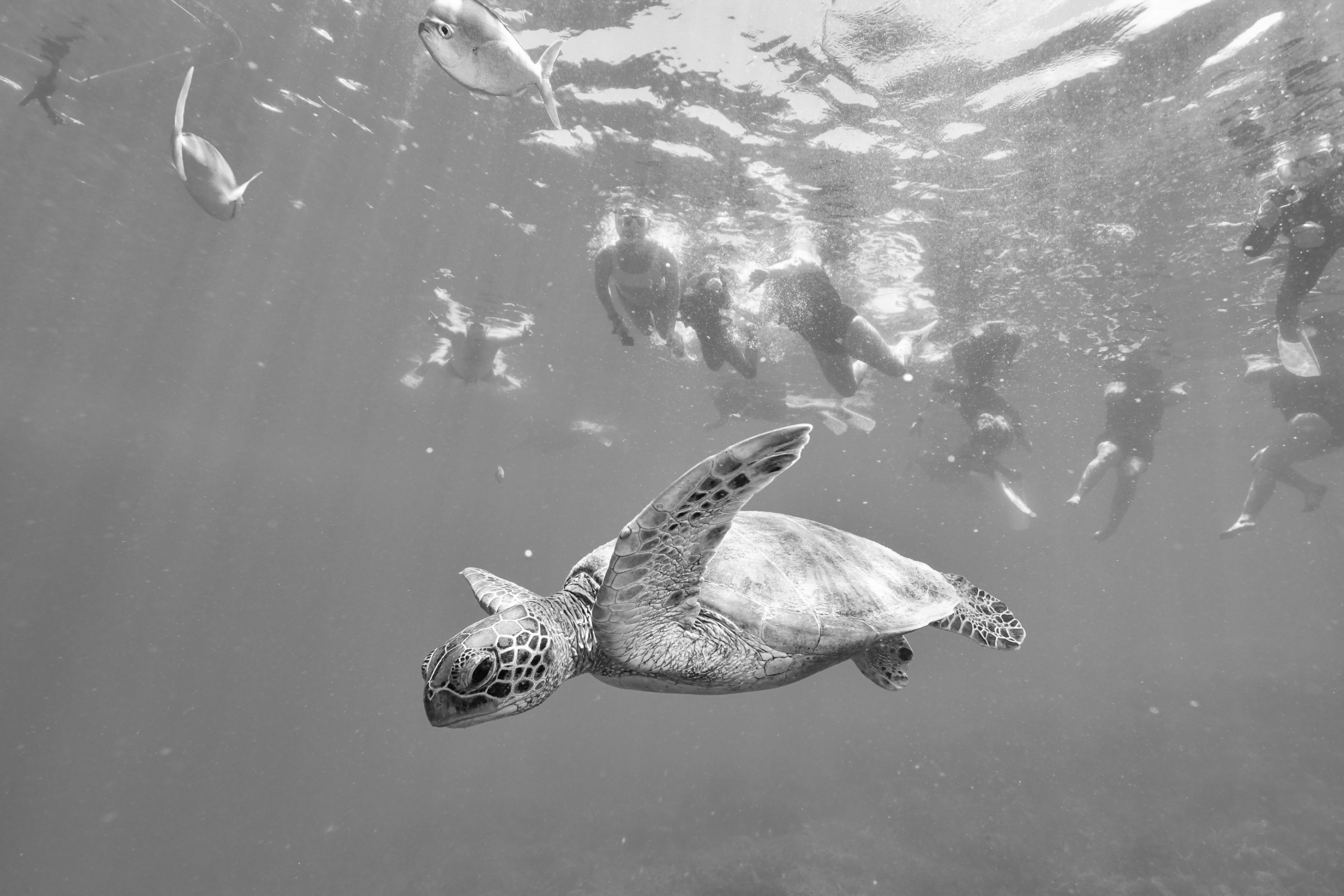 Wanderlust with Purpose