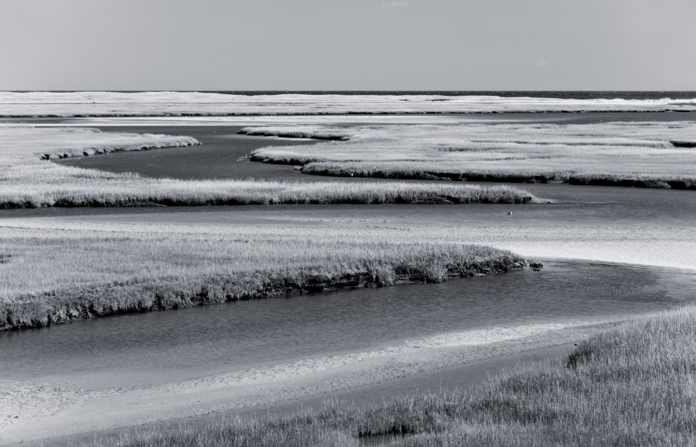 Turning Passion Into Purpose