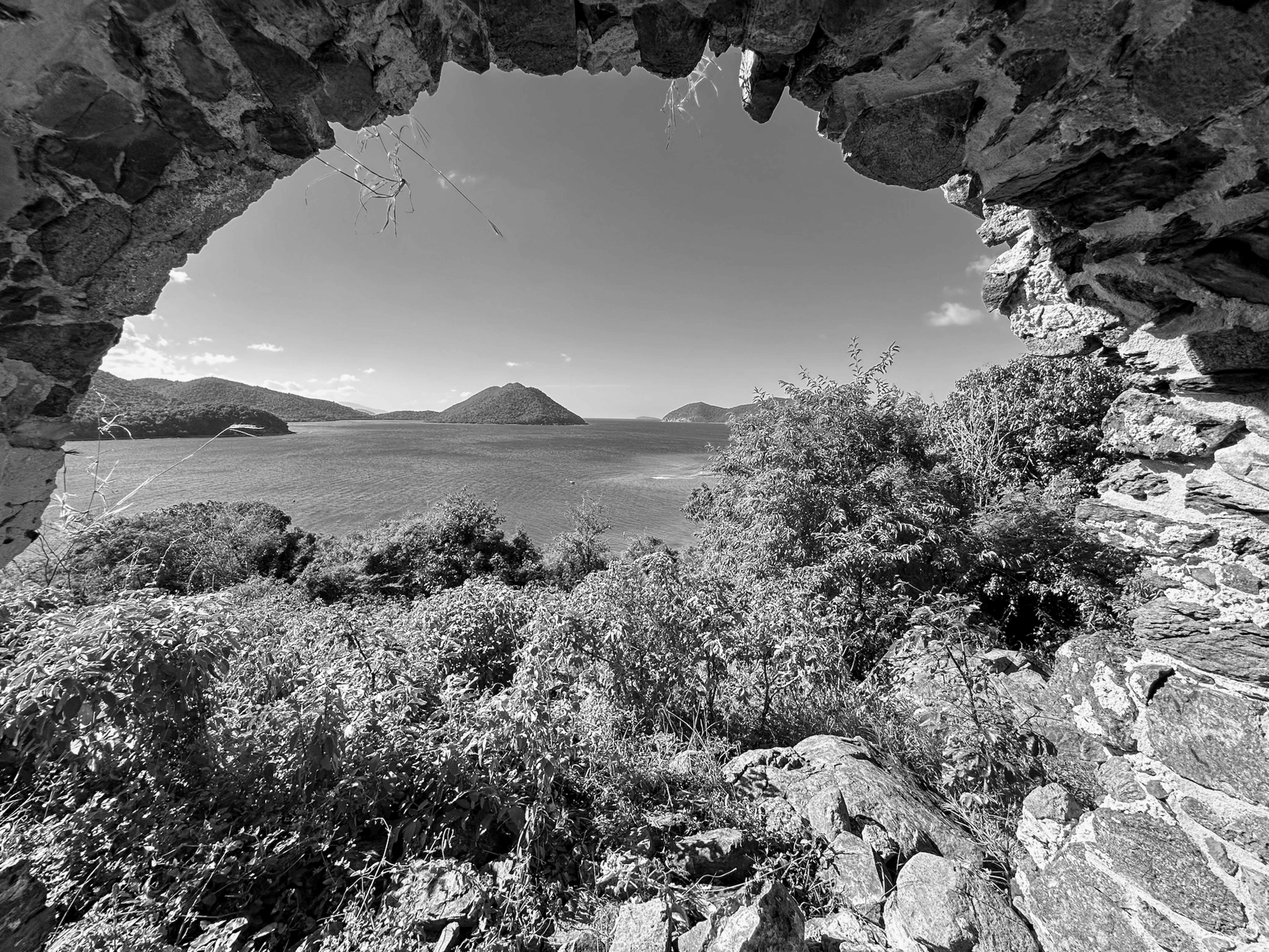 Island Escape Artist